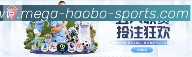 奖项4