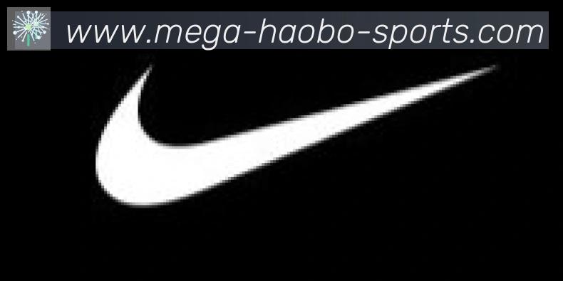 好博体育合作伙伴